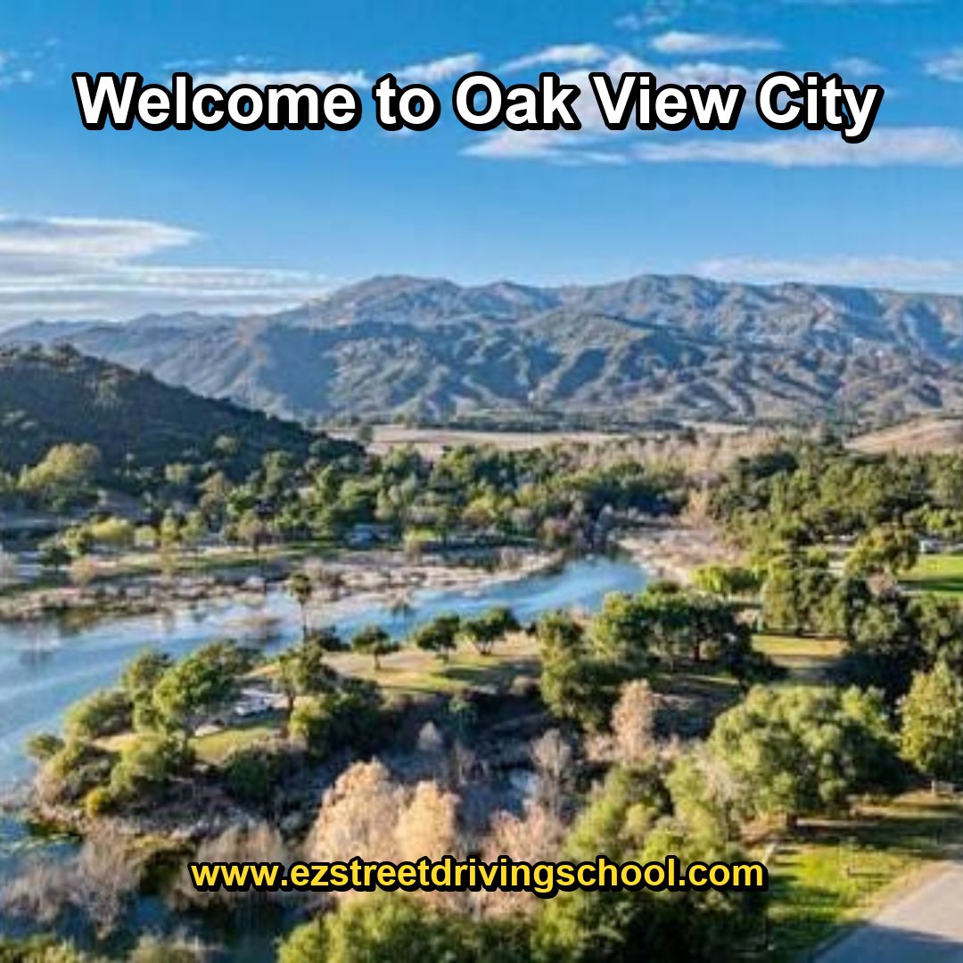 Driving Lessons in Oak View